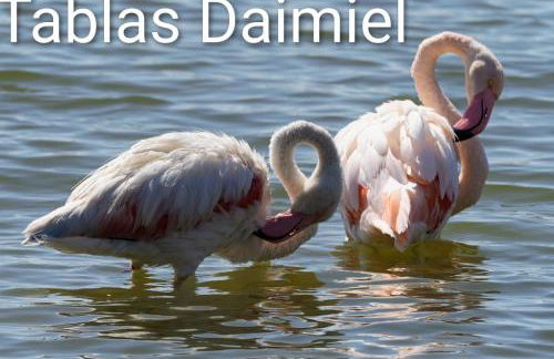 Casa Rural Valle de los Molinos - Foto 9