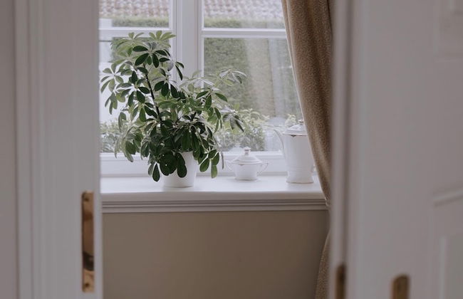 Exklusive Ferienzimmer Gut Heidefeld - Foto 10