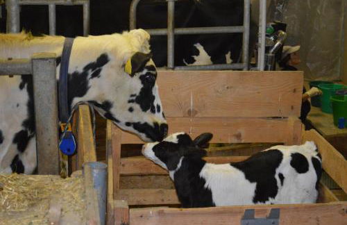 Agriturismo Anví - Photo 26