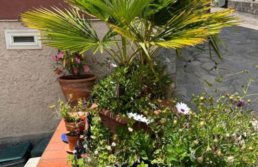 Le Magnolie Paliano appartamento 120 mq - Foto 28