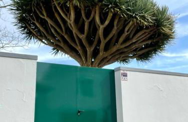 Casa Às Oito - Photo 19