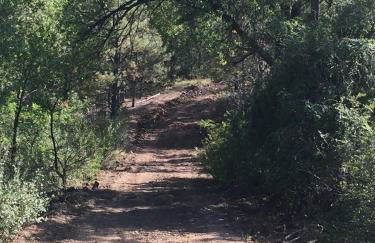 Old Raton Pass Base Camp Cabin with Loft Northern New Mexico Mountain Ranch on Colorado Border cabin - Foto 22