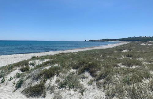 Pineta Beach & Relax House - Foto 23