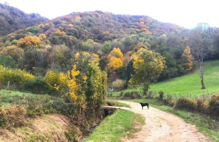 Gîte La Source - Foto 45