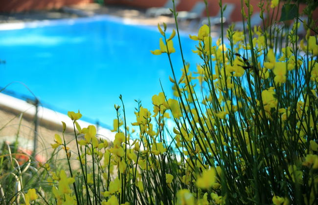 Village de vacances La Colline Des Ocres - Foto 41