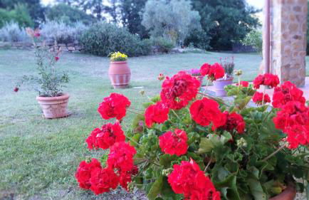 Agriturismo Bonzalone - Foto 36