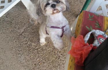 Masseria Marico - Foto 28