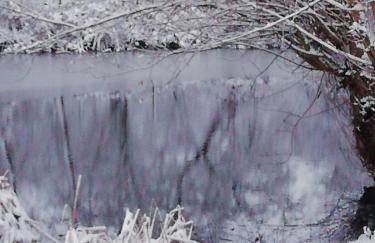 Am Froschteich - Foto 3