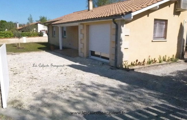 Les Calicots Sanguinet - Photo 61