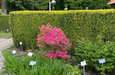 Appartementhof Stadler - Foto 50