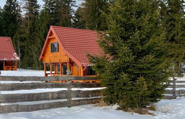 Okno na las - Foto 54