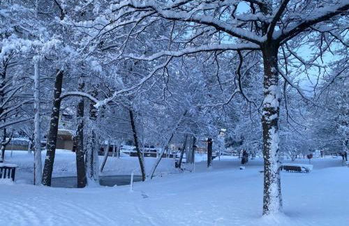 HALBSTÜCK - Ferienwohnungen am Kropsbachpark - Foto 4