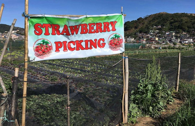 Belvedere di Kennon Road, villaggio Tam-Awan e Accademia Militare - Foto 6