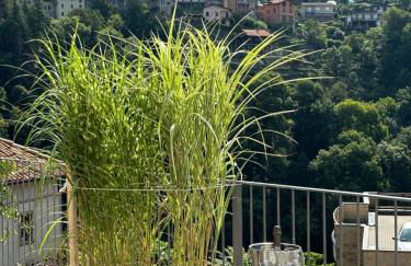 Il Giardino Segreto - Foto 35