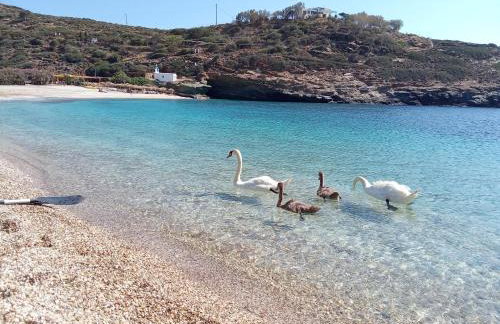 Vitali sea house I - Foto 30