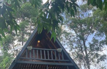 Chalé da Mantiqueira SFX , Pet friendly - Foto 34