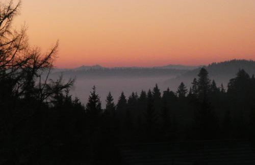 Naturapartment SCHWARZWALDSEELE Kniebis - Foto 2