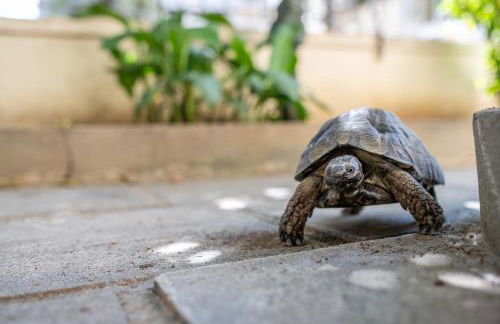 ANGEL , Luxury 2BD apartment next to the Beach - Foto 22