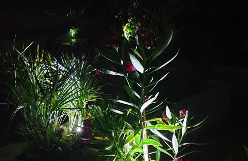 Appartement Super Terrasse Vue Panoramique Mer - Foto 14