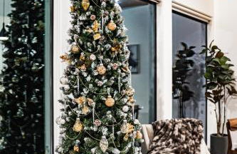 Gruene Daze Chalet - Stylish Aframe - Escape the Ordinary - Foto 57