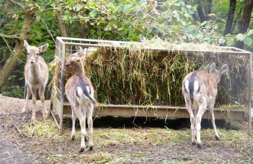 Moinho Mó da Praia - Foto 58
