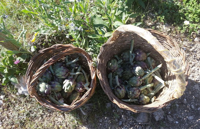 La Torre Rossa - Foto 52