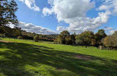 Ferienwohnung Eiernest - Foto 15