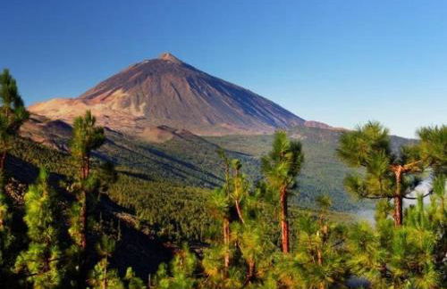 Refugio Chirche Experience the most authentic Tenerife - Foto 9