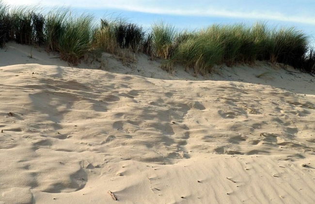 Borkum Ideal 71 A Comfortable Holiday Residence - Foto 27