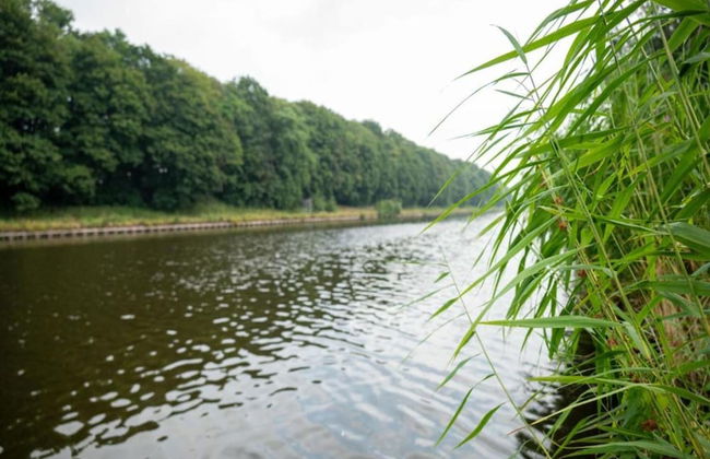 Modern Chalet With Nice Sliding Doors Near Lochem - Foto 27