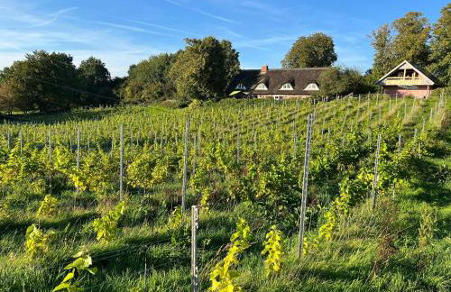 Hoheluft am Wittensee Apt 1 - Foto 2