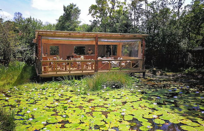 Forest Edge - Foto 64