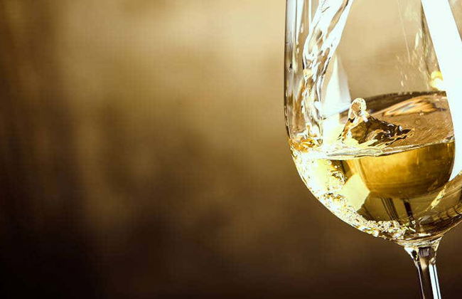 Dégustation de vin à la Quinta de Santa Cristina - Photo 1