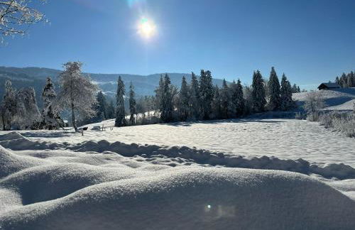 Landhaus Eibelesee - Foto 64