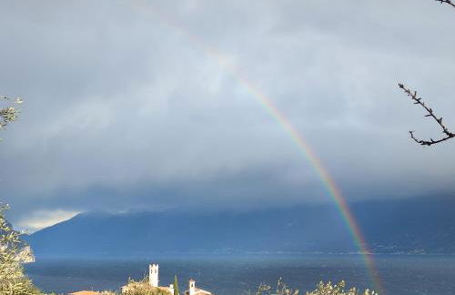 Agriturismo L'Uliveto - Foto 58