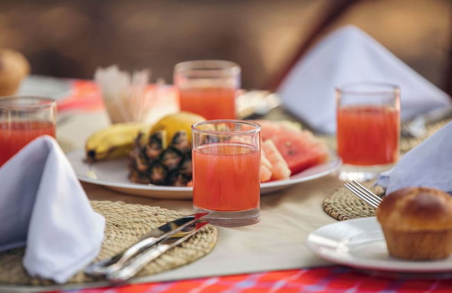 Tindiga Tented Camp - Foto 30