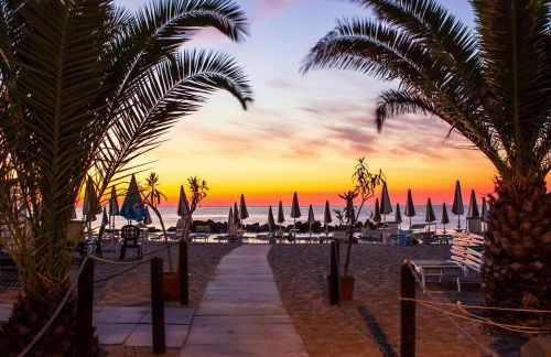 Stella di mare - Foto 20