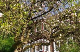 Haus am Wald Zorge 16+ Gäste - Foto 22