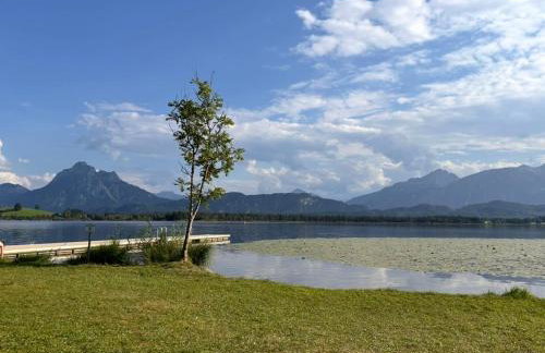Apartment im Souterrain mit Terrasse - Foto 11