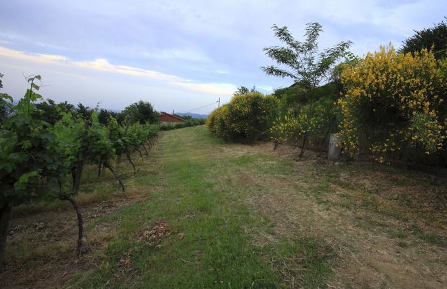 Agriturismo Borgo delle Vigne - Foto 32