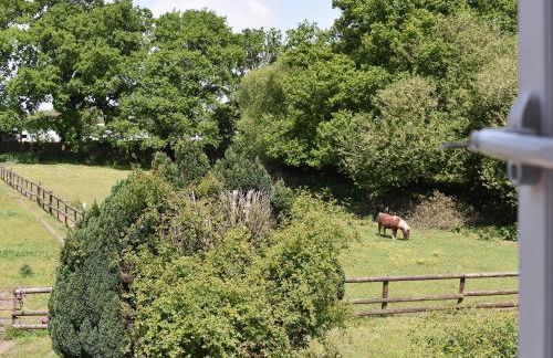 Oakdene Lodge - Photo 16