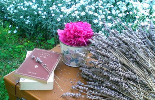 Casa sull'Albero Aromantica - Foto 28