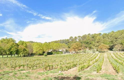 Domaine familial la marjoline - Photo 32