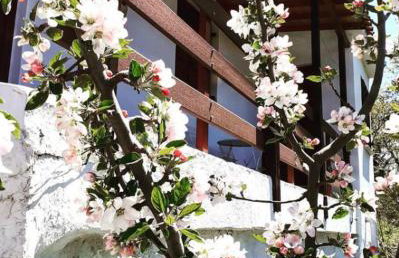 Maro's Guesthouse - Foto 1