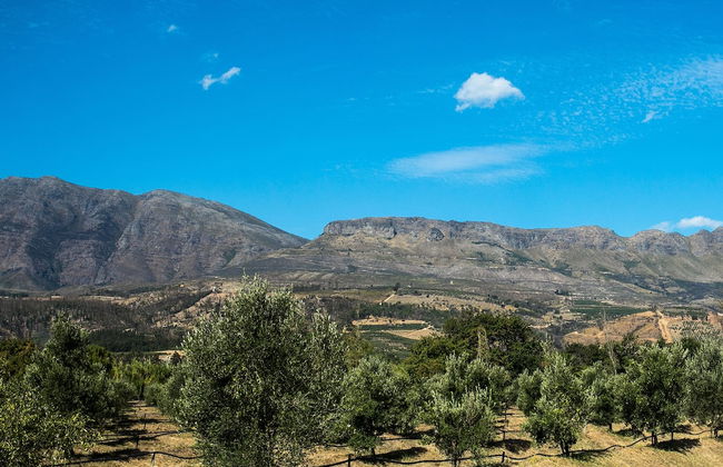 Village Lodge Paarl - Photo 41