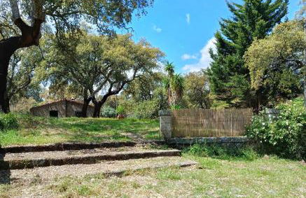 Casa da Vinha - Foto 49