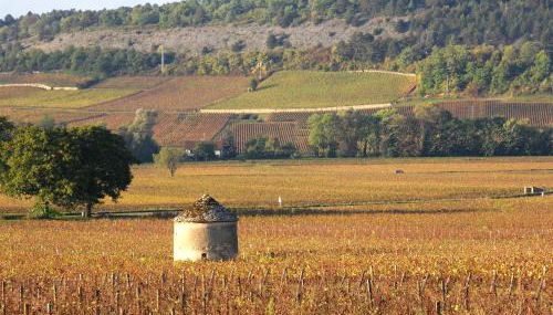 La Cuverie de Cîteaux, à Savigny les Beaune - Foto 3