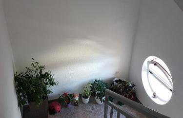 Sobe Stanković - Foto 48