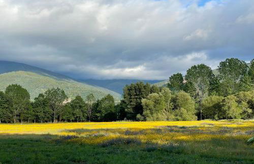 Quinta do Areal - Foto 71