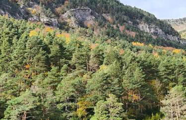 Apartamento IZAS Canfranc - Foto 6